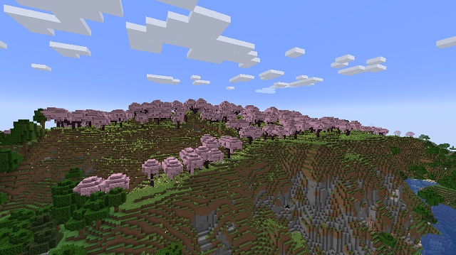 A Cherry Blossom Mountain Cherry Grove seed in Minecraft