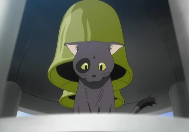 15 Best Anime Cats in 2024 (Ranked)