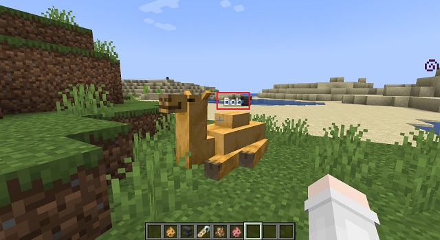 Did you know this buried treasure trick? #minecraft