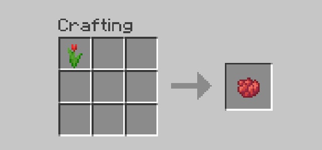 Minecraft Red Dye: How To Get Red Dye In Minecraft? 