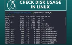 How to Check Disk Usage in Linux