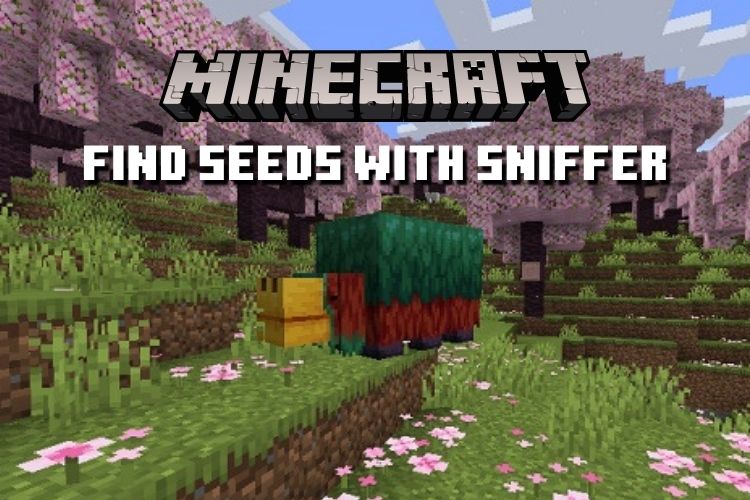 how-to-find-seeds-with-sniffer-in-minecraft-1-20-2023-beebom