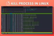 How To Kill A Process In Linux 2024 Guide Beebom