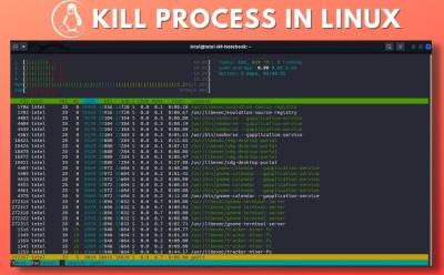 How to Kill a Process in Linux
