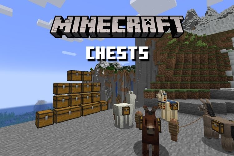 Ancient Chest [Ender Chest] Minecraft Texture Pack
