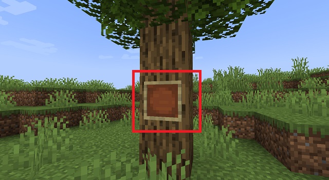 How to Place an Item in Minecraft