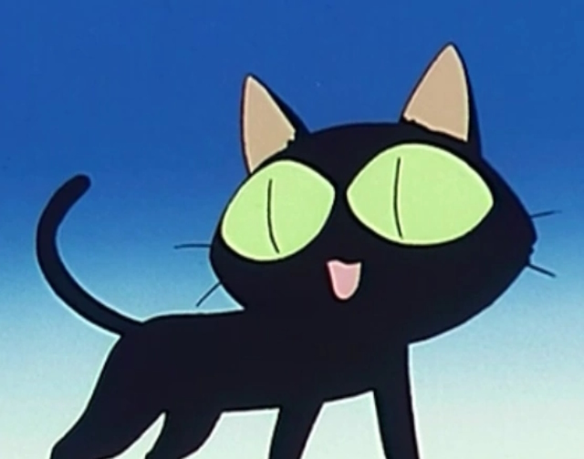 Do you know any anime characters that love cats? - Quora