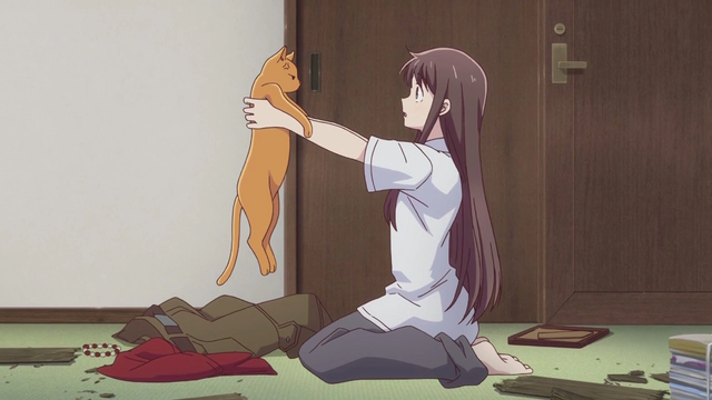 Anime Cat of the Day   Todays anime cat of the day is Wanchoi from
