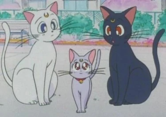 Cats Characters | Anime-Planet