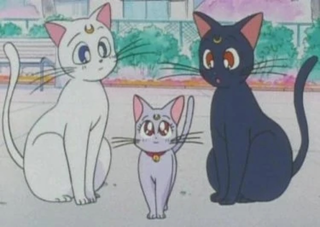 Crunchyroll - Who remembers Black Cat? 👀