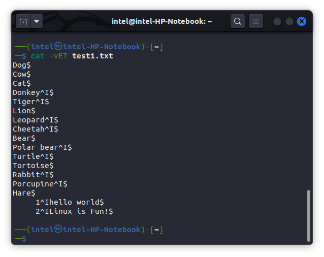 display invisible characters using the cat command