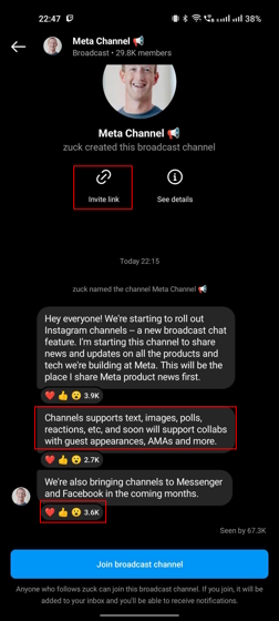 Was Sind Instagram-Sendekanäle Und Wie Kann Man Ihnen Beitreten? 3 Was Sind Instagram-Broadcast-Kanäle?