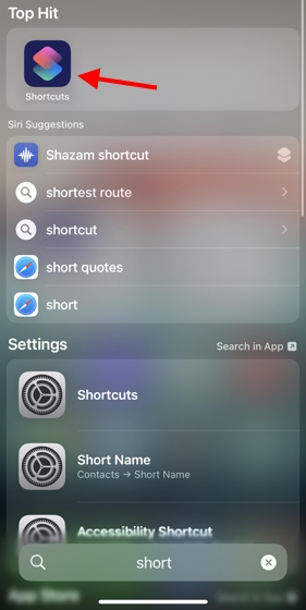Siri ChatGPT shortcut app 