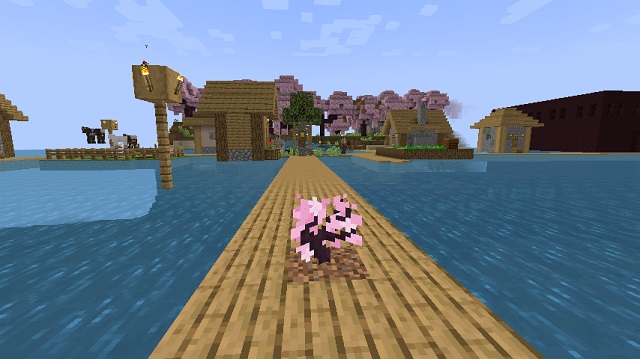 cherry sapling Cherry Grove in Minecraft