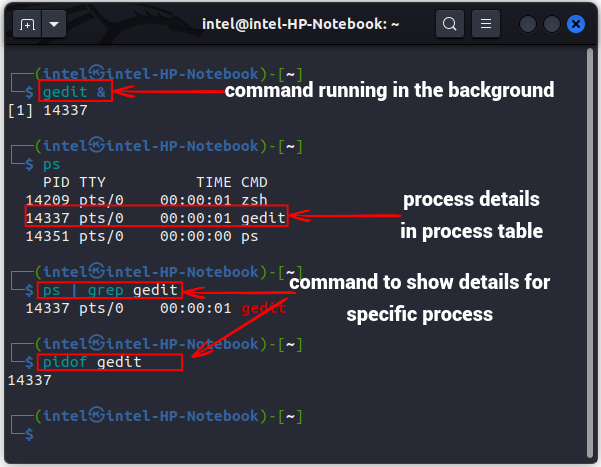 Identifying the process id