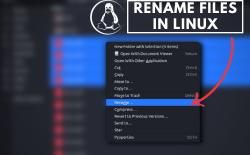 how to rename a file in linux