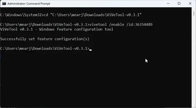 As guias do File Explorer não estão aparecendo no Windows 11? Experimente as 6 Melhores Correções! 5 2. Forçar a ativação de guias no explorador de arquivos com o ViVeTool