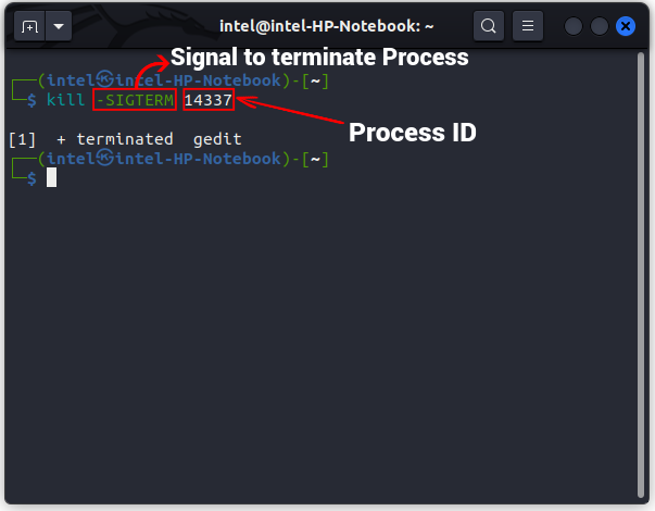 terminate using kill command