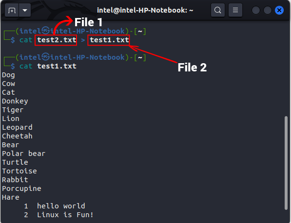 overwrite a file with another