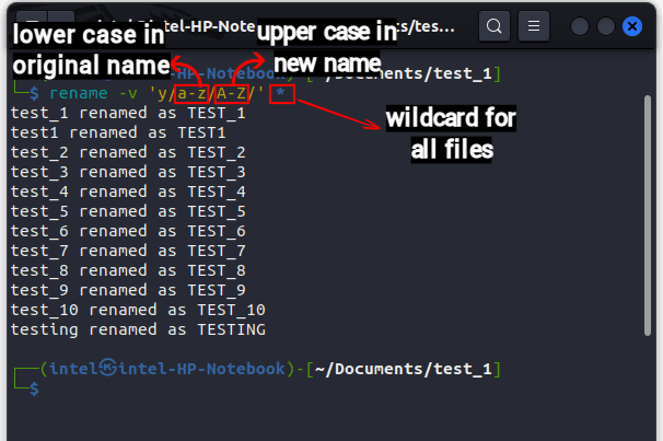 change the name from lower case to upper case using rename command