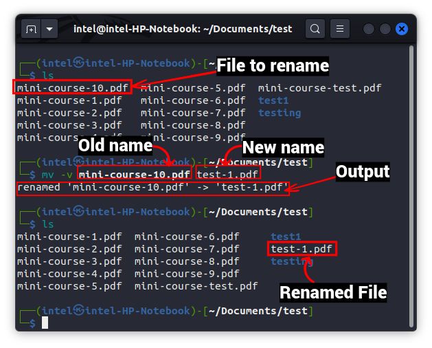 rename a single file using the mv command