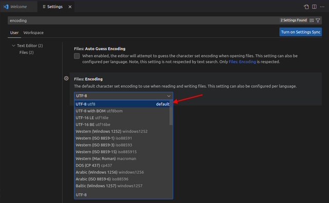 choosing utf-8 encoding for all files