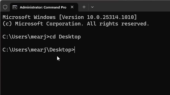 Run cd Desktop to move to desktop