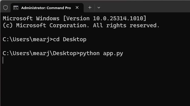 How to run python app.py command