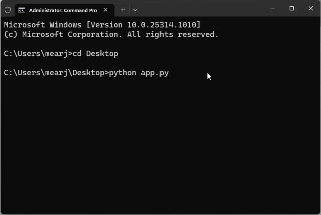 Running python app.py again in Terminal