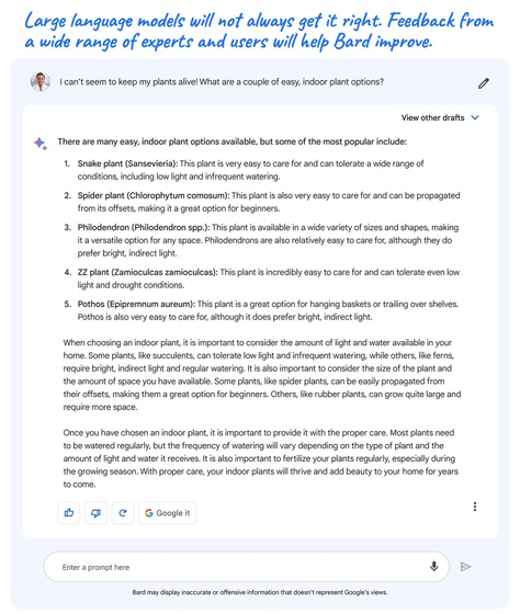 Google bard safety