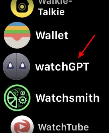 watchgpt apple watch open app