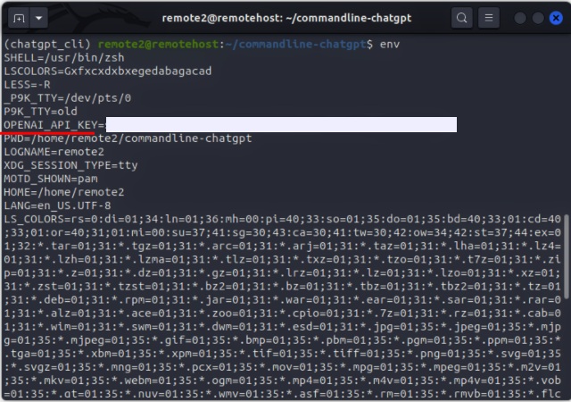 ortam değişkenleri içinde OpenAI API Anahtarını kontrol etme