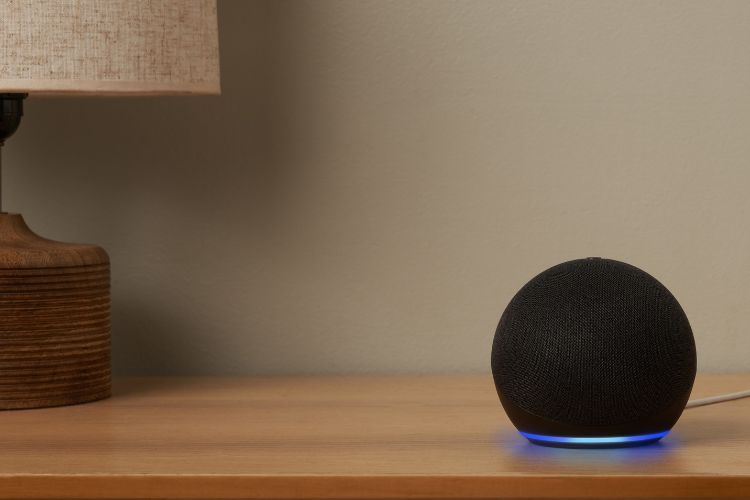 amazon echo dot 5th gen launched