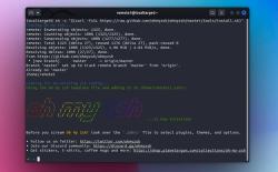 how to install zsh and oh my zsh in linux