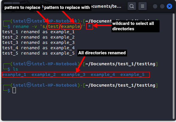 renaming multiple directories using rename command