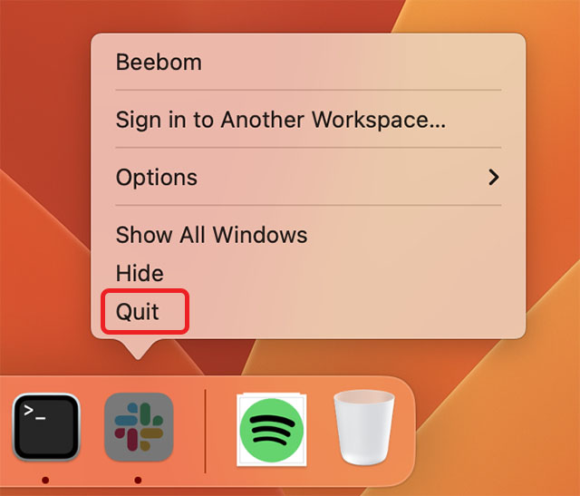 option to quit an app from the macOS dock