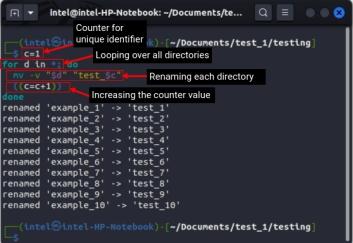 How to Rename a Directory in Linux in 2023 (2 Methods) | Beebom