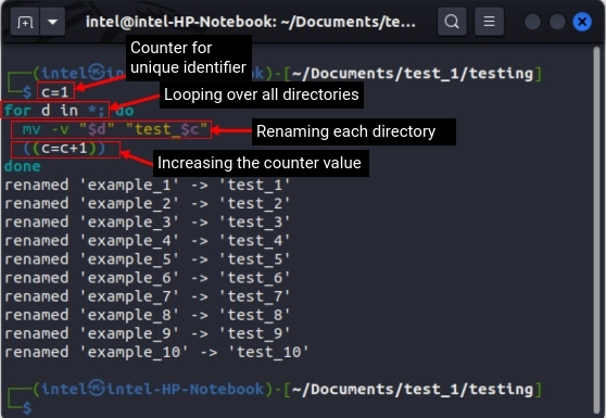 Renaming multiple directories in Linux