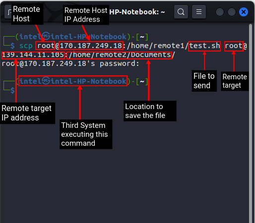 How To Use Scp Command To Securely Transfer Files In Linux | Beebom