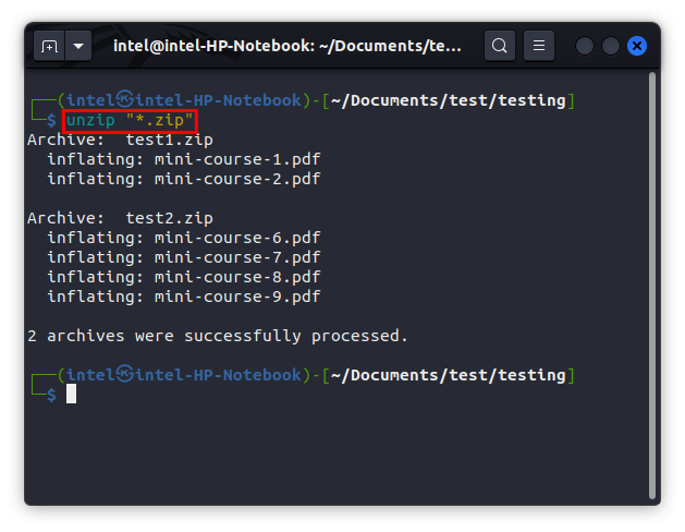 So Komprimieren Und Entpacken Sie Dateien Unter Linux (Anleitung) 24 Entpacken Sie Alle Zip-Dateien Unter Linux