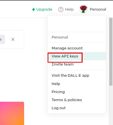 viewing OpenAI api keys