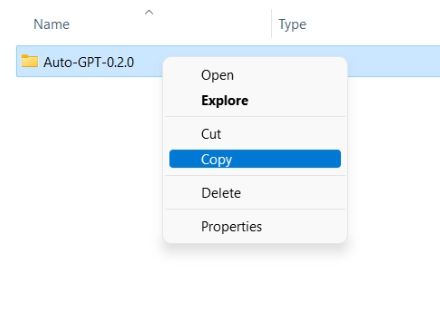 Add API Keys to Use Auto-GPT