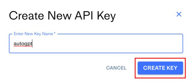 Add API Keys to Use Auto-GPT