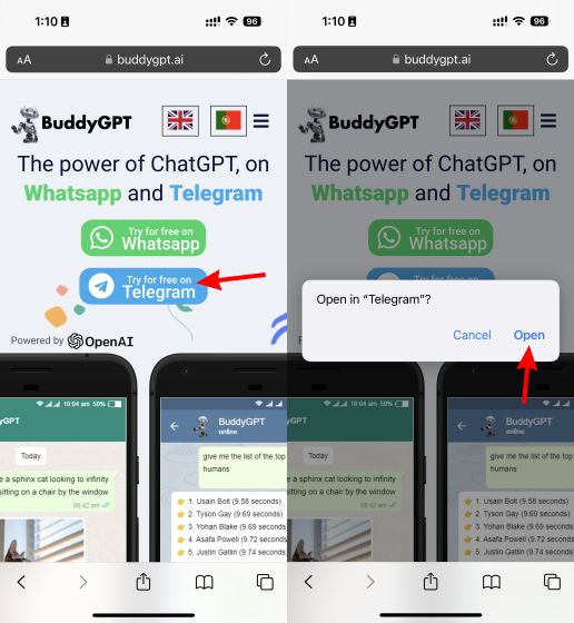Try BuddyGPT telegram chatgpt