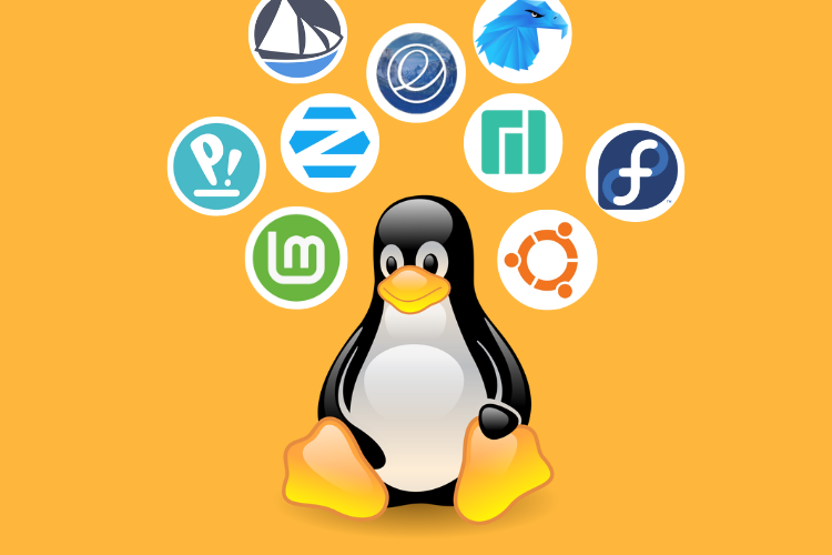 10 Best Linux Distros You Should Use (2023) | Beebom