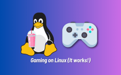 Best Linux Gaming Distros