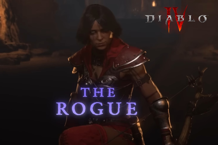 Best Diablo 4 Rogue builds