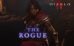 Diablo 4 Rogue Build