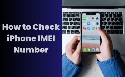 How to Check iPhone IMEI Number