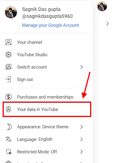 Your data in YouTube section on YouTube PC